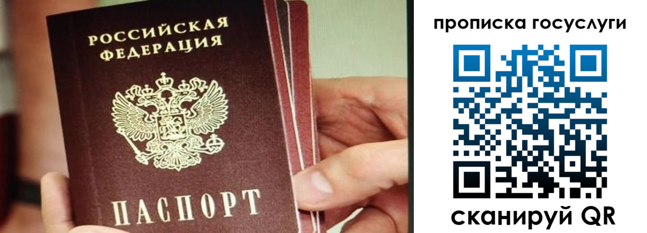 пропишу в квартире в Дятьково